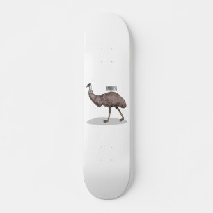 Emu bird cartoon illustration  skateboard