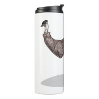 Emu bird cartoon illustration 