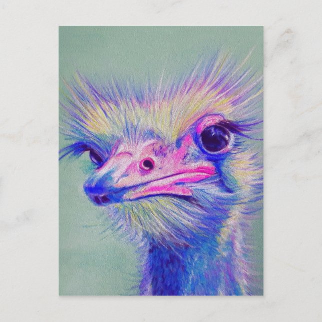 Emu bird postcard (Front)