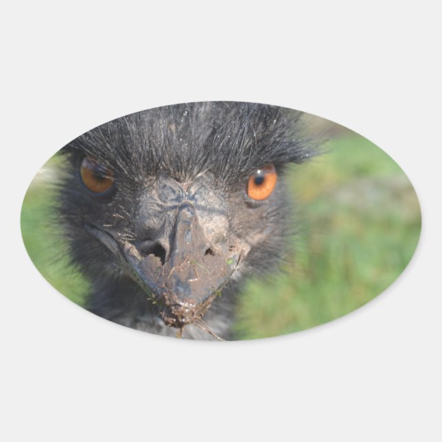 Emu Bird Stickers (Front)