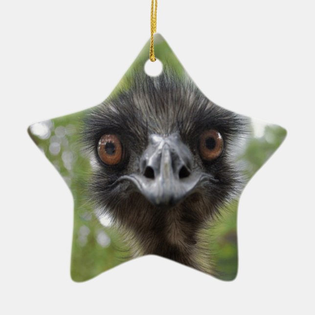 Emu Ceramic Ornament (Front)