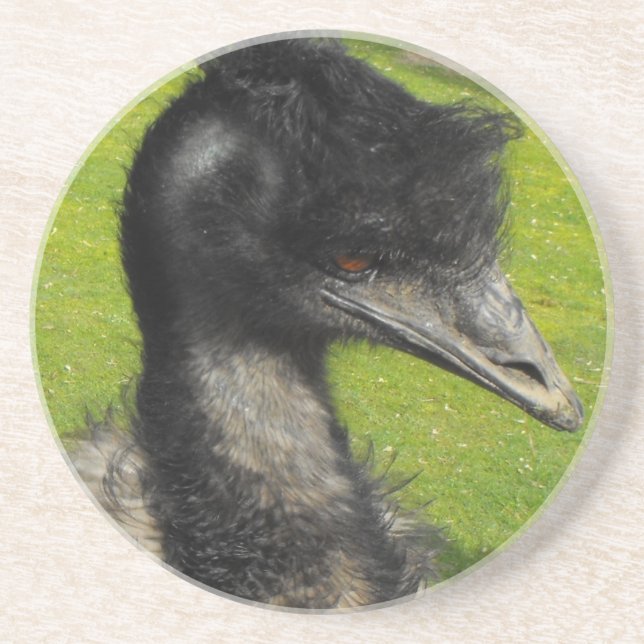 Emu Coaster (Front)