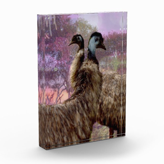 Emu Courtship, Photo Block (Left)