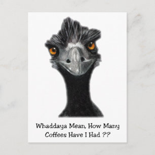 Emu: Funny, Humour: Too Many Coffees: Art Postcard