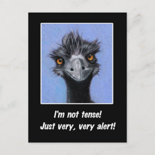 EMU: FUNNY SAYING FOR TENSE BOSS OR OTHERS POSTCARD