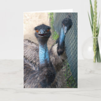 Emu Greeting Card