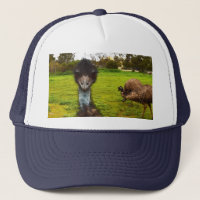 Emu I Dare You,