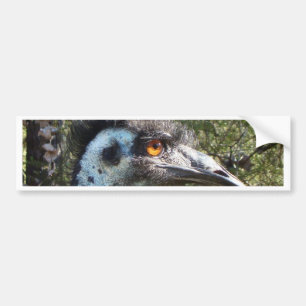 Emu in Australia Bumper Sticker