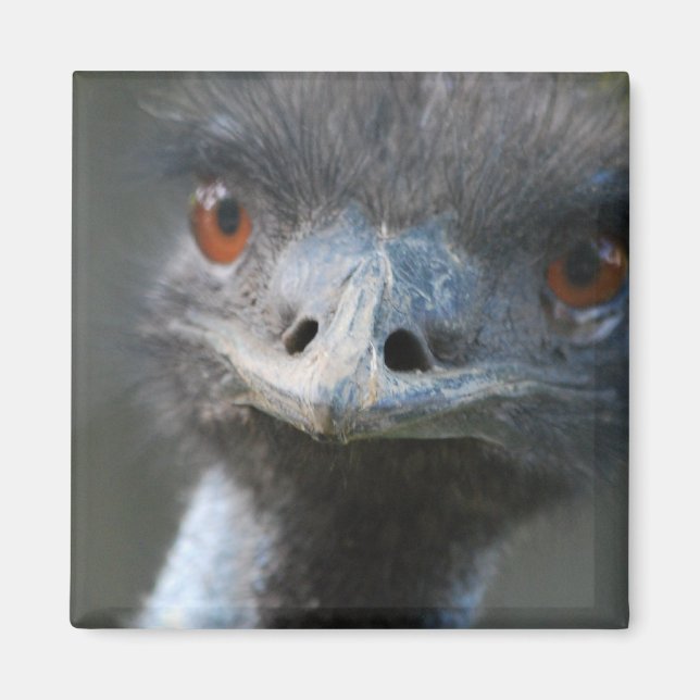 Emu Magnet (Front)