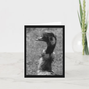 Emu Nature Lovers Black And White Vertical Sticker Card