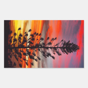 Emu Park sunset silhouette sticker