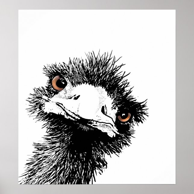 Emu – Pen and Ink Poster (Front)