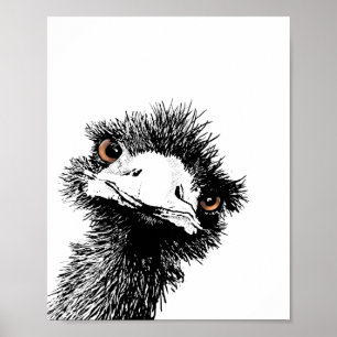 Emu – Pen and Ink Poster