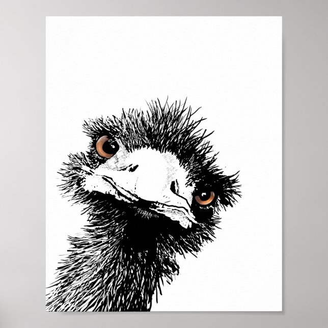 Emu – Pen and Ink Poster (Front)