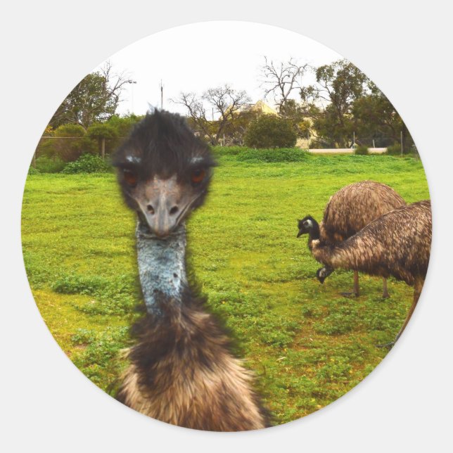 Emu Photobomb, Classic Round Sticker (Front)