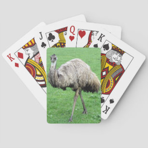 emu playing cards