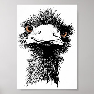 Emu Poster