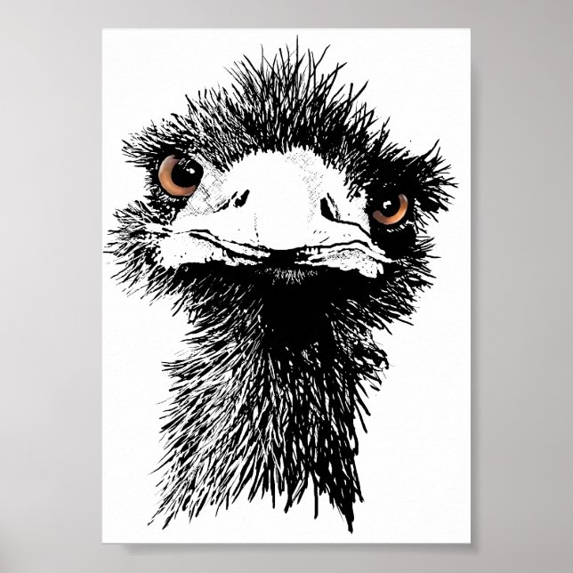 Emu Poster (Front)
