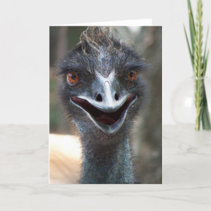 Emu saying HI! Open beak big brown eyes picture Card