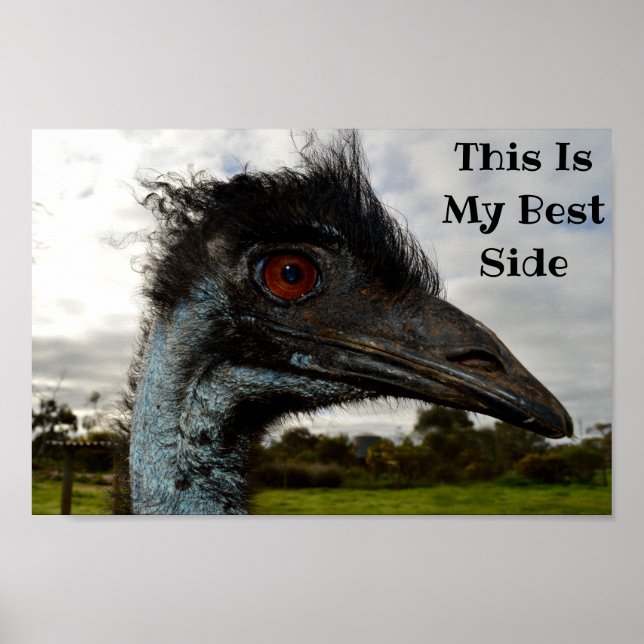Emu Showing Her Best Side, Poster (Front)