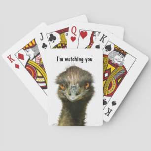 Emu Watching You Playing Cards
