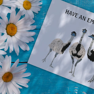 Emus Bird Lovers Custom Message Postcard