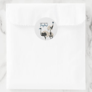 Emus Bird Lovers Personalized Party Classic Round Sticker