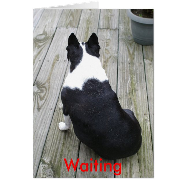 En Attendant..., En Attendant. (Devant)