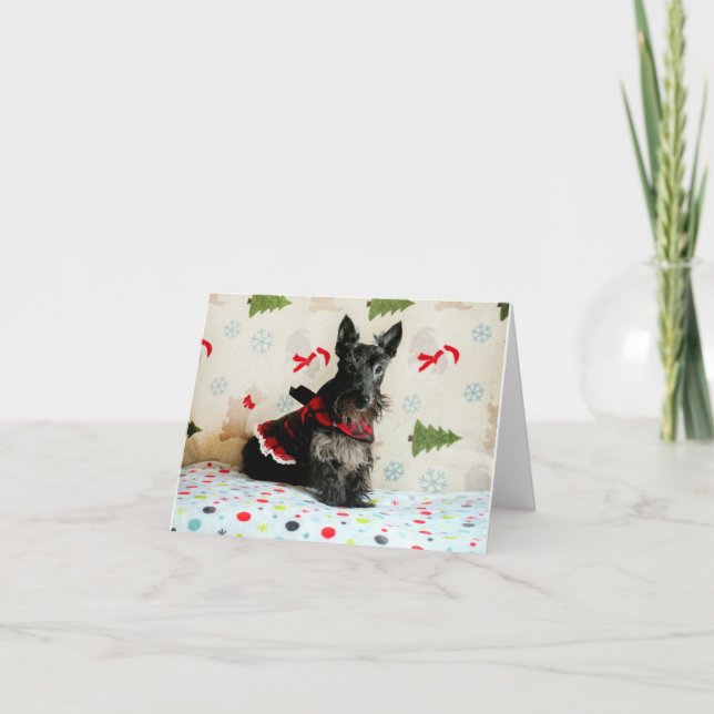 En attente de carte de Noël (Devant)