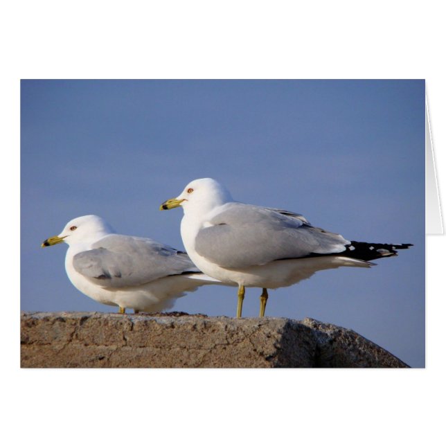 En attente de l'arrêt de la suspension (Devant horizontal)