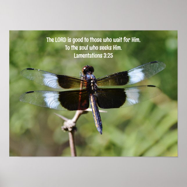 En attente libellule Nature Bible Verse Poster (Devant)
