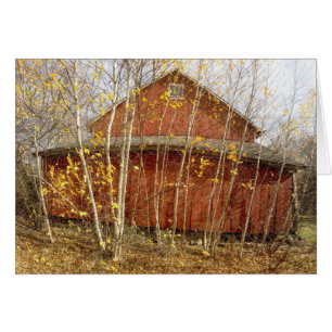 En Bas De La Ferme De Lane