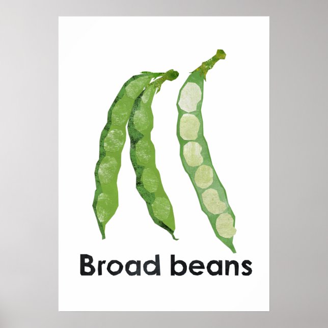 En - Broad beans Poster (Front)