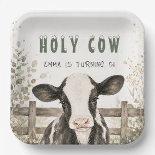En Carton Assiettes pour fête d'anniversaire à la ferme
