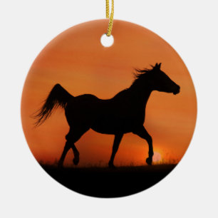 En Céramique Beau ornement de cheval arabe