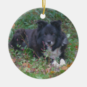 En Céramique Bordure noire Collie jote Dog Ornement