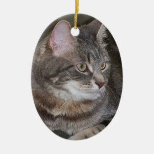 En Céramique Houx observant quelque chose ornement