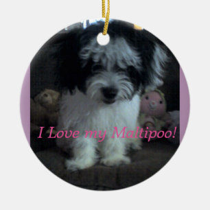 En Céramique I Lovee mon Maltipoo ! Ornement