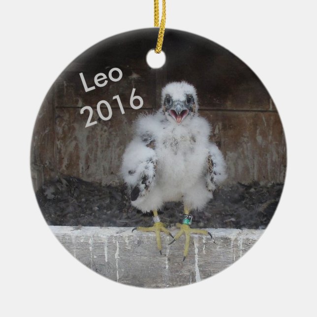 En Céramique Ornement 2016 de Lion (Devant)