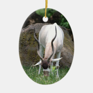 En Céramique Ornement d'addax