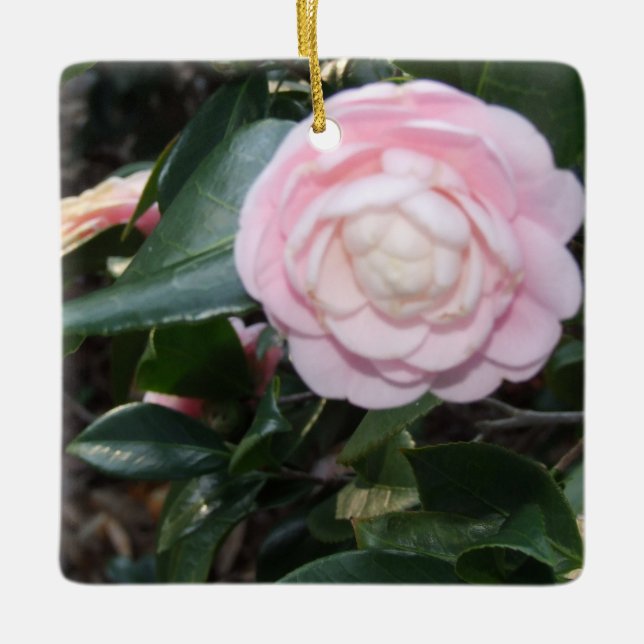 En Céramique Ornement de Camellia rose (Devant)
