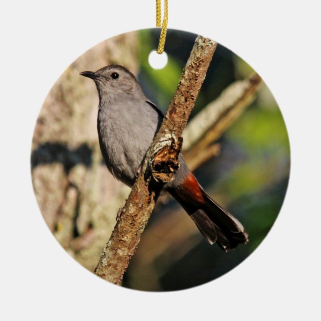 En Céramique Ornement de Catbird gris (Devant)