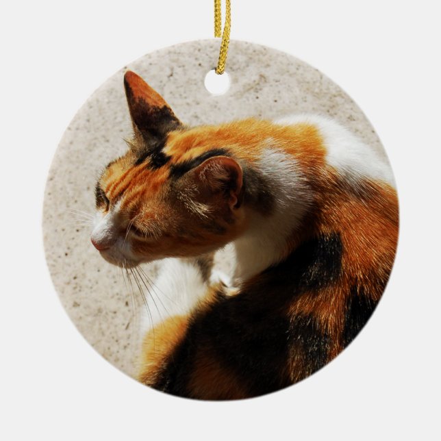 En Céramique Ornement de chat Tricolor (Devant)
