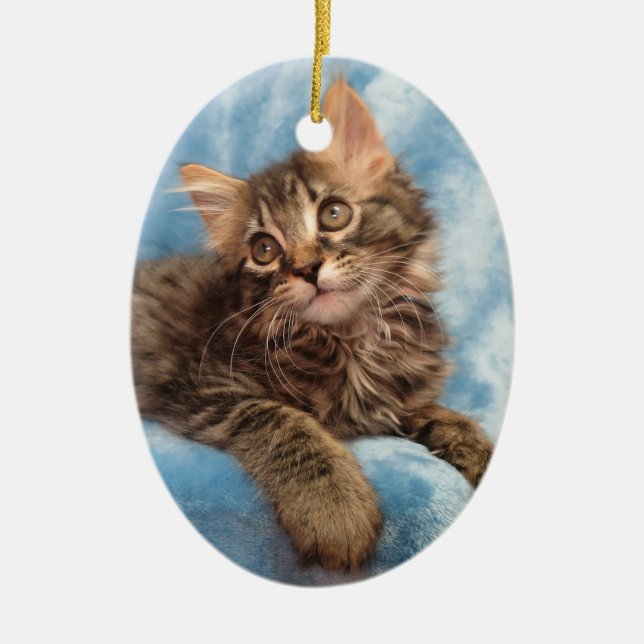 En Céramique Ornement de chaton de ragondin du Maine (Devant)