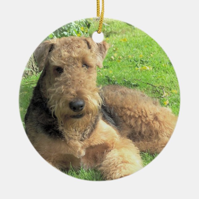 En Céramique Ornement de chien d'Airedale Terrier (Devant)
