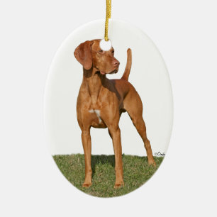 En Céramique Ornement de chien de chasse de Viszla