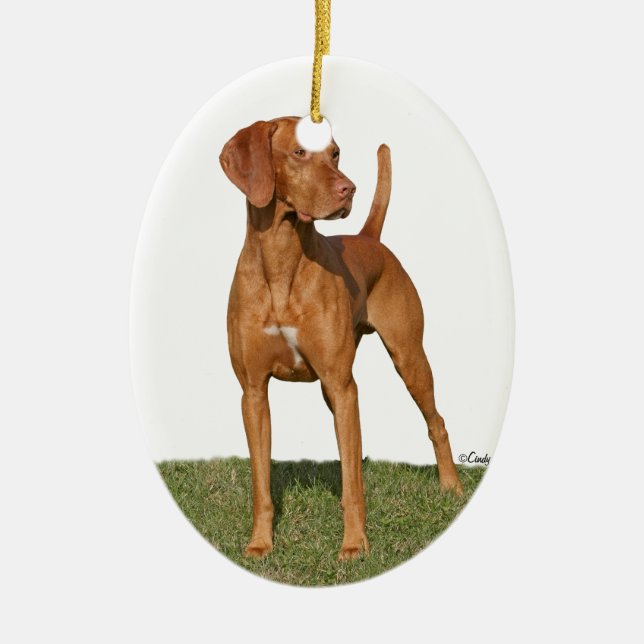 En Céramique Ornement de chien de chasse de Viszla (Devant)