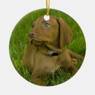 En Céramique Ornement de chiot de Vizsla