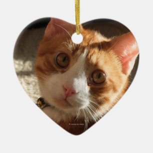 En Céramique Ornement de coeur de photo de chat de Mac