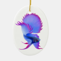 Ornement de combat de poissons de Betta Splendens